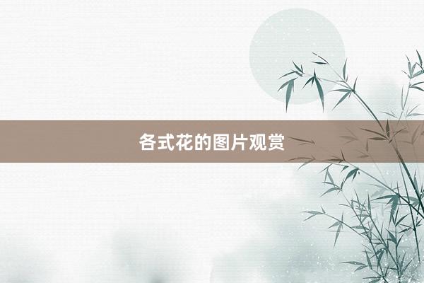 各式花的图片观赏