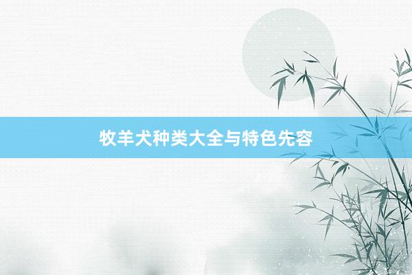 牧羊犬种类大全与特色先容